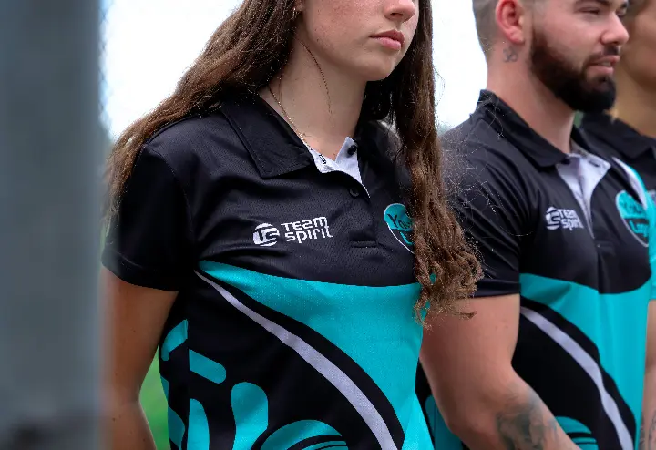 types of logo variations