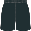 Griffith Training Shorts