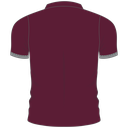 Toowoomba Bears Polo