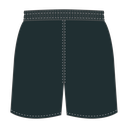Taree Wildcats Club Shorts