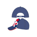 SWSAS Cap