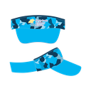 NCAS Visor
